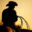 The Lasso