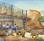 An artist's rendering of the remodeled Savanna Grill. (Phoenix Zoo Photo)