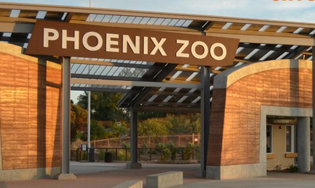 Phoenix Zoo works to keep animals safe during monsoon storms
