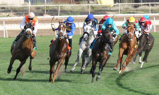 Part of Turf Paradise under quarantine due to equine herpes outbreak