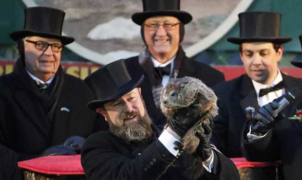 Groundhog Club co-handler Al Dereume holds Punxsutawney Phil, the weather prognosticating groundhog...