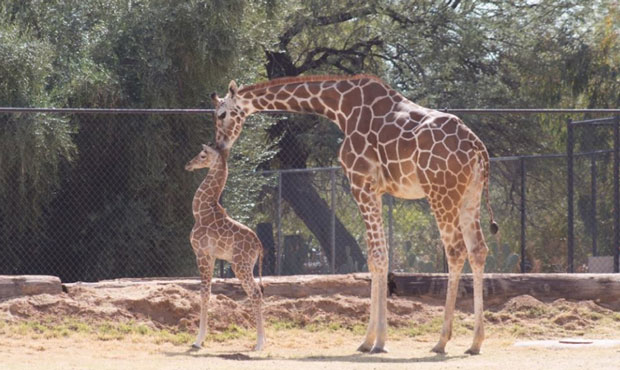 World Wildlife Zoo adds eight-acre expansion, new exhibits