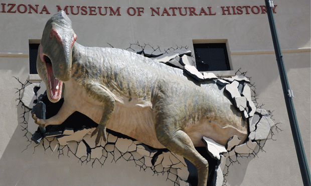 Mesa museum goes Jurassic with dinosaur replica bursting through wall