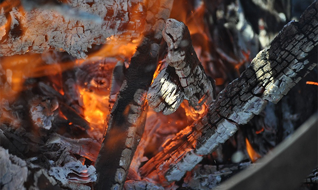 Arizona national forests to ban campfires to aid coronavirus resources