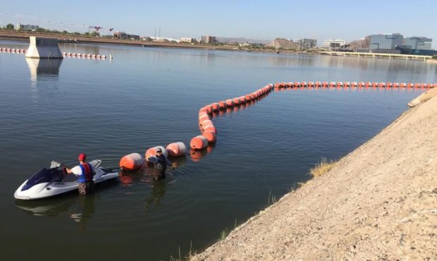 Crew members remove buoys from eastern end of Town Lake (Photo by City of Tempe)...