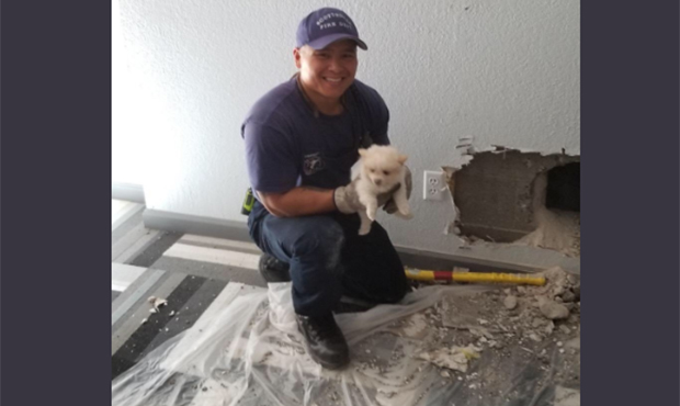 Scottsdale firefighters rescue small puppy stuck in chimney