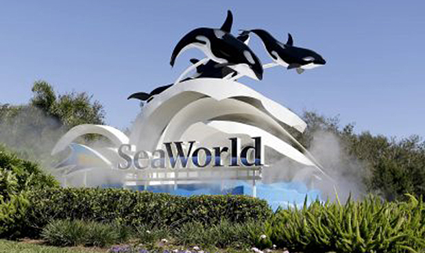 AAA Arizona ends sale of SeaWorld tickets, PETA praises the move