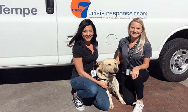 Tempe adds Sully the Labrador to victim services team