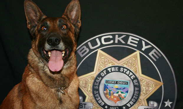 Buckeye Police Department’s K9 Drax to receive body armor donation