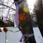 Friends of missing West Valley woman Susan Powell continue in their efforts to locate and bring her home by placing purple ribbons around their neighborhood.  Monday, Jan. 4, 2010. (Photo: Scott Winterto/Deseret News)
