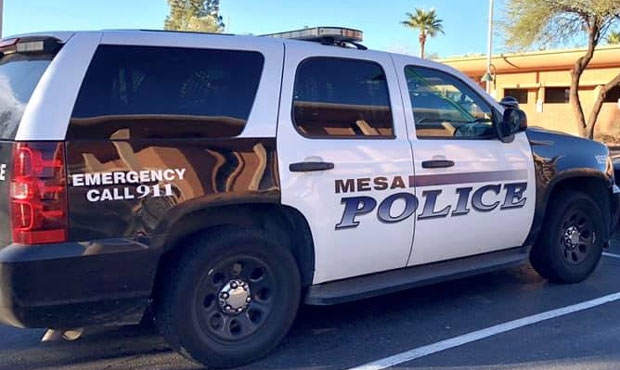 (Facebook Photo/City of Mesa Police Department)...