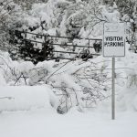 (Scottsdale Wildlife Conservation Center Photo)