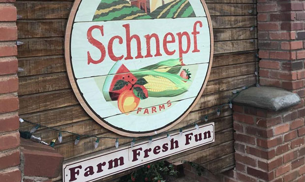 Thieves pluck family heirlooms, equipment from Schnepf Farms