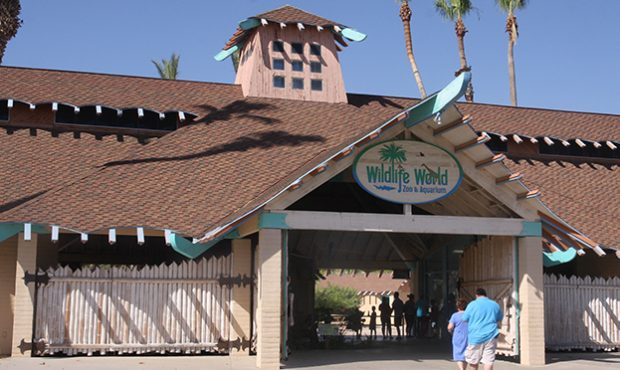 Wildlife World Zoo in West Valley named as best zoo in Arizona