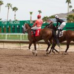 The number of horse deaths at Turf Paradise and other racetracks around the country have been alarming to the horse racing community. A fracture during a race often means a horse will be euthanized on site. (Photo by Jake Goodrick/Cronkite News)
