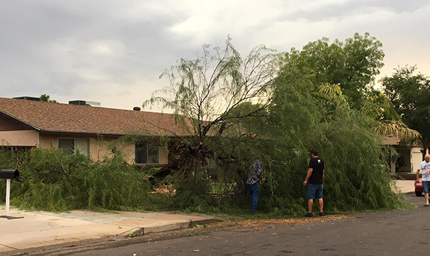Valley wakes up to damage, more rain following monsoon storms