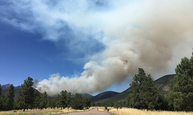 Museum Fire near Flagstaff growing, forcing evacuations