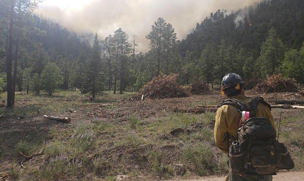 Command of Museum Fire to return to Coconino National Forest
