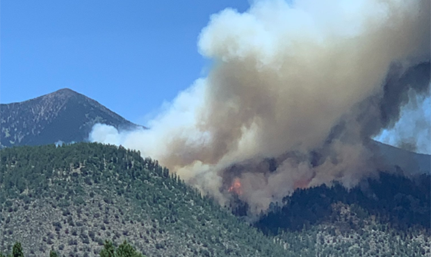 Evacuation order issued for Museum Fire near Flagstaff
