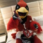 Go Cards! Gila River Casinos debuts Arizona Cardinals-themed hotel