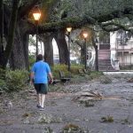 Limbs from trees covered the sidewalks around Forsyth Park Thursday morning, Sept. 5, 2019, following the passing of Hurricane Dorian. (Steve Bisson/Savannah Morning News via AP)