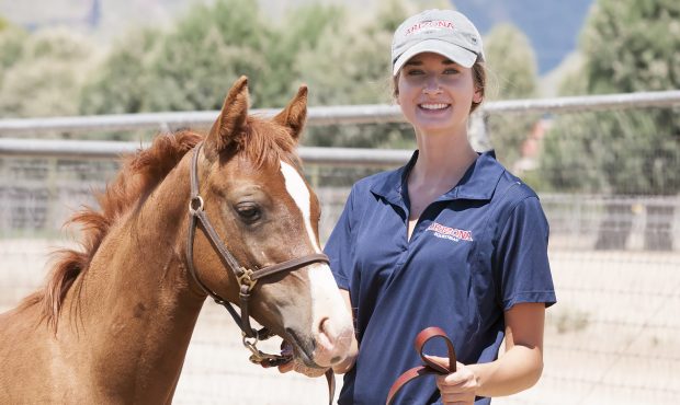 University of Arizona approved for state's first public veterinarian school