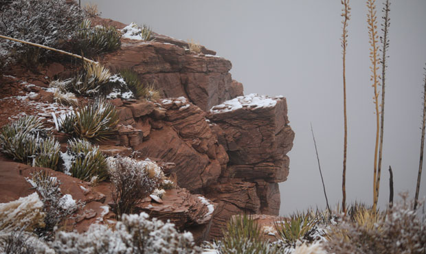Winter wonderland: Check out the Grand Canyon covered in snow