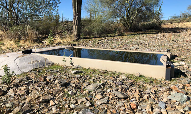Water for wildlife: Catchments prove lifesavers across Arizona