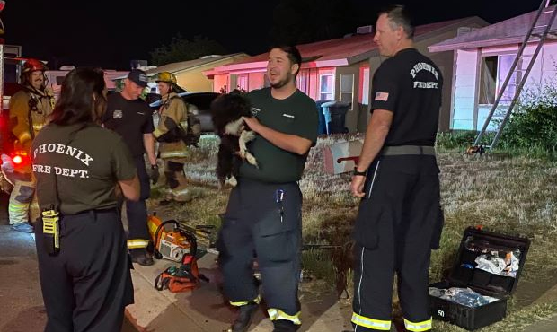 Phoenix firefighters revive dog trapped inside burning home