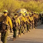 (Twitter Photo/Coronado National Forest)