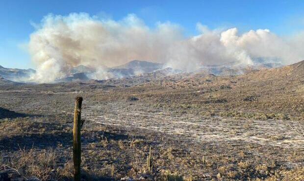Bush Fire explodes to become 7th-largest in Arizona history