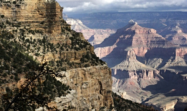 Bat at Grand Canyon National Park tested positive for rabies