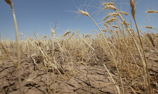 8 Arizona counties designated as drought disaster areas