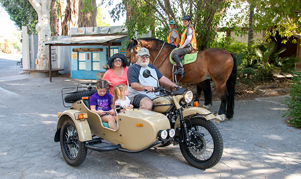 Phoenix Zoo to hold final weekend of Cruise the Zoo event