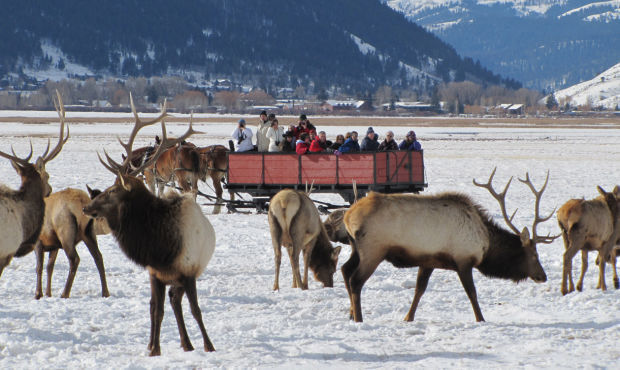 (U.S. Fish and Wildlife Service Photo)...