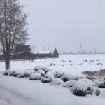 Snow piles up near Flagstaff, Arizona, Jan. 25, 2021. (Twitter Photo/National Weather Service Flagstaff)