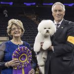 
              FILE - In this Feb. 13, 2018, file photo, handler Bill McFadden, right, poses for photos with Flynn, a bichon frise, and judge Betty-Anne Stenmark after Flynn won best in show during the 142nd Westminster Kennel Club Dog Show at Madison Square Garden in New York. McFadden, who has guided two Westminster winners, was rear-ended and injured while driving a van full of dogs cross-country to the show, his wife and fellow star handler, Taffe McFadden, said Saturday, June 12, 2021. (AP Photo/Mary Altaffer, File)
            