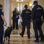 
              U.S. Capitol Police perform a security sweep outside the Senate chamber before a key vote on a voting rights bill, at the Capitol in Washington, Tuesday, June 22, 2021. (AP Photo/J. Scott Applewhite)
            