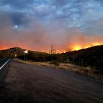 Telegraph Fire in Arizona on June 6, 2021. (Facebook Photo/Tonto National Forest)