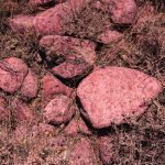 
              Fire retardant coats rocks in a field damaged by the Bootleg Fire, Thursday, July 22, 2021, near Bly, Ore. (AP Photo/Nathan Howard)
            