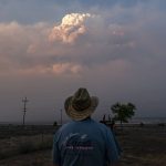 
              Shane Durant watches the Bootleg Fire smoke plume while walking his dog, Monday, July 12, 2021, near Bly, Ore. (AP Photo/Nathan Howard)
            