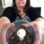 
              Tiziana di Costanzo, co-founder of Horizon Insects, holds up a cup of dried crickets to be ground up and added to pizza dough, in her London kitchen on June 2, 2021. While insects are commonly eaten in parts of Asia and Africa, they're increasingly seen as a viable food source in the West as Earth’s growing population puts more pressure on global food production. Experts say they’re rich in protein, yet can be raised much more sustainably than beef or pork. Regulatory change has also made things easier for European companies looking to market insects directly to consumers. (AP Photo/Kelvin Chan)
            