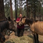 Veterinarian Tawnia Shaw, with The Happy Pet Vet team, examines horses that had been left during a Level 3 evacuation during the Bootleg Fire, Tuesday, July 13, 2021, near Sprague River, Ore. (AP Photo/Nathan Howard)