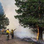 
              Wildland firefighters spray water onto a tree that caught fire as they were building a fire line for the Lick Creek Fire, Monday, July 12, 2021, south of Asotin, Wash. (Pete Caster/Lewiston Tribune via AP)
            