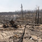 
              Area damaged by the Bootleg Fire smolders near the Northwest edge of the blaze on Friday, July 23, 2021, near Paisley, Ore. (AP Photo/Nathan Howard)
            