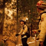 
              Firefighter Jason Prado monitors flames as his crew burns vegetation to stop the Dixie Fire from spreading near Prattville in Plumas County, Calif., on Friday, July 23, 2021. (AP Photo/Noah Berger)
            