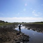 
              Cristopher Benegas, 12, fishes in what's left of the Payagua stream, a tributary of the Paraguay River, in Chaco I, Paraguay, early Friday, Aug. 27, 2021. Lack of rain in the Paraguay-Brazil pantanal in the north is threatening to break last year's record when the river dropped to historical levels. (AP Photo/Jorge Saenz)
            