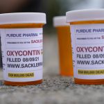 
              FILE - In this Aug. 9, 2021, file photo, fake pill bottles with messages about OxyContin maker Purdue Pharma are displayed during a protest outside the courthouse where the bankruptcy of the company is taking place in White Plains, N.Y. A federal bankruptcy judge is expected to rule Wednesday, Sept. 1, on whether to accept a settlement between Purdue Pharma, the states and thousands of local governments over an opioid crisis that has killed a half-million Americans over the last two decades. (AP Photo/Seth Wenig, File)
            