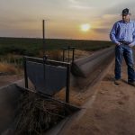 Will Thelander, a partner in his family's farming business, looks into a dry irrigation canal on his property, Thursday, July 22, 2021, in Casa Grande, Ariz. The Colorado River has been a go-to source of water for cities, tribes and farmers in the U.S. West for decades. But climate change, drought and increased demand are taking a toll. The U.S. Bureau of Reclamation is expected to declare the first-ever mandatory cuts from the river for 2022. (AP Photo/Darryl Webb)