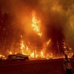 
              A home and trees burn as the Dixie Fire tears through the Greenville community of Plumas County, Calif., on Wednesday, Aug. 4, 2021. The fire leveled multiple historic buildings and dozens of homes in central Greenville. (AP Photo/Noah Berger)
            